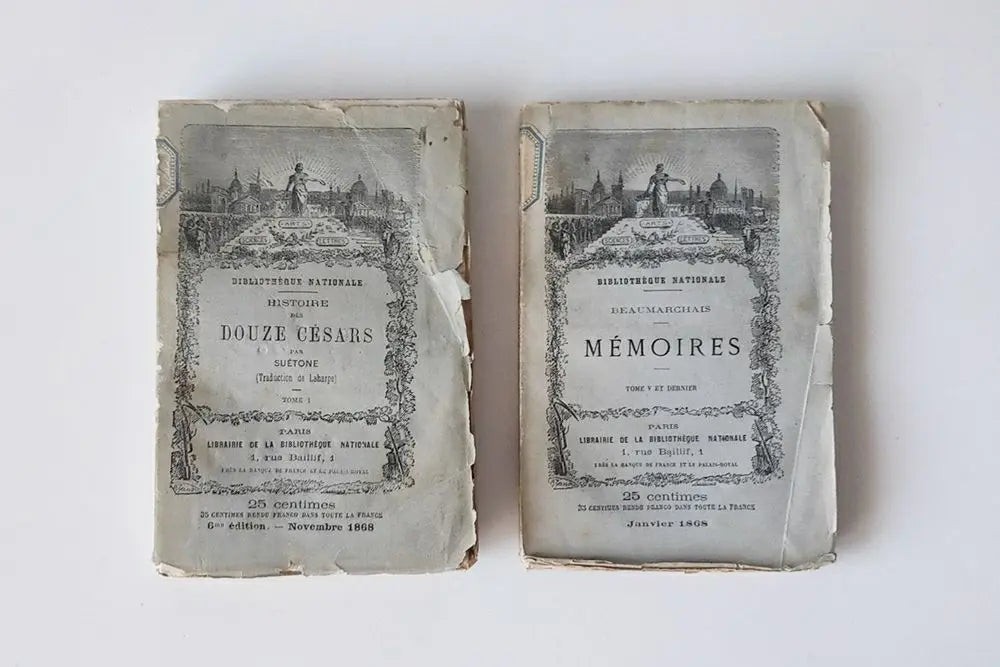 アンティークブック フランス 19世紀 2冊セットフランスで出版された、1866年~1869年の古書。おしゃれな雰囲気でディスプレイ小物におすすめ