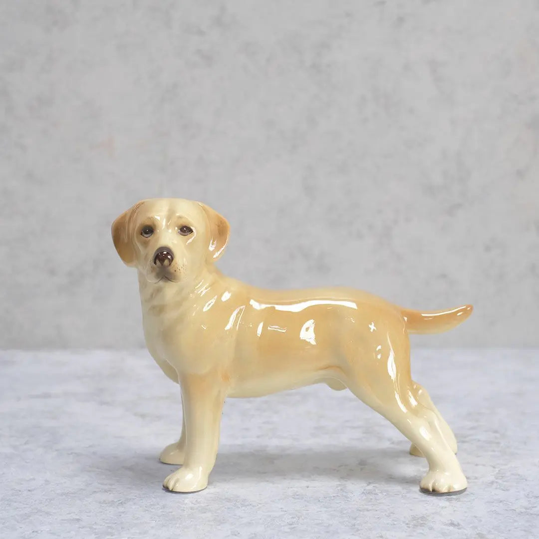 ヴィンテージ犬のフィギュリン 陶器人形 イギリス 置物 ゴールデン