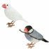 嘴がマグネットになった文鳥オブジェ3