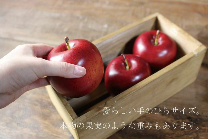 イミテーションフルーツ1