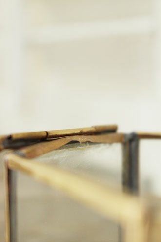 歪み有6