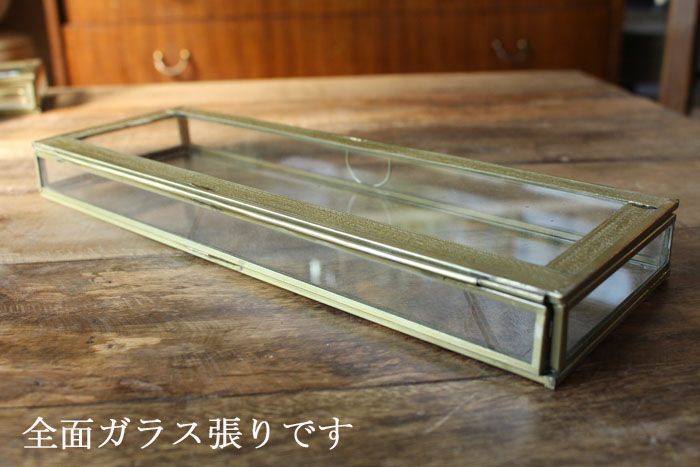 全面ガラス張りのショーケース4