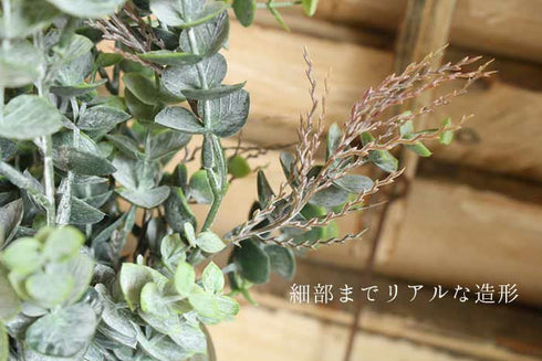 ユーカリブッシュ