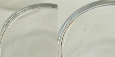 ボデガグラス/200ml おしゃれなカフェ風 耐熱スタッキングで収納可能6