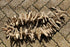 流木のハンギングオブジェ LONG