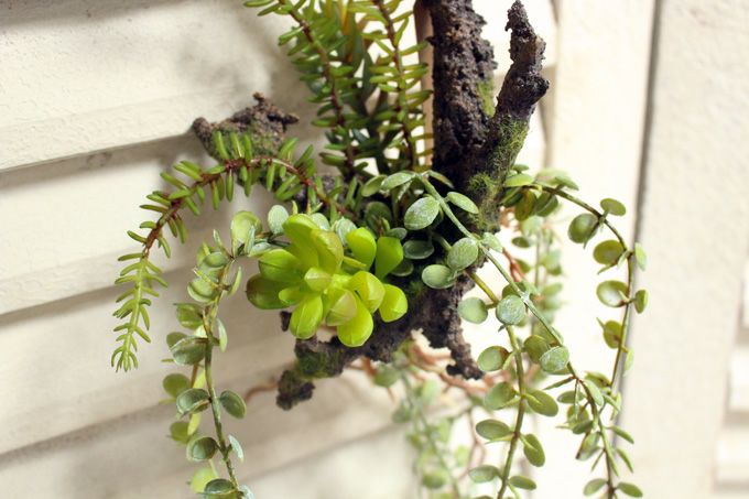 リアルな多肉植物の造花1