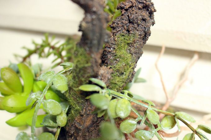多肉植物の造花葉3