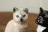 かわいい猫の一輪挿し顔4