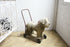 アンティーク犬の手押し車11