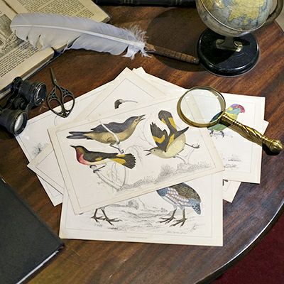 イギリス製アンティークリトグラフ都市の挿絵12