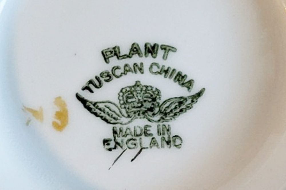ヴィンテージTUSCAN PLANTバックスタンプ8