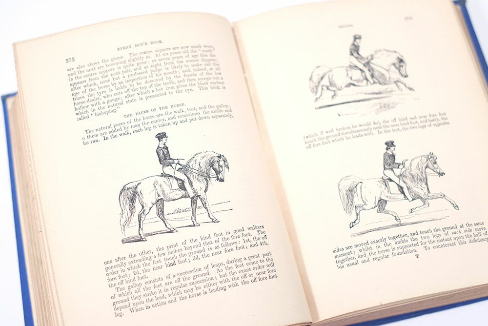 アンティークブックBOY'S OWN BOOK イギリス ボーイズブック ページ513