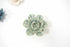 陶器のフラワーオブジェ ウォールデコ/パステルグリーン1