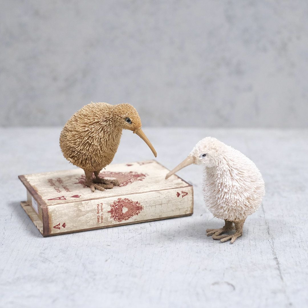 たわしアニマル キーウィ 動物雑貨6