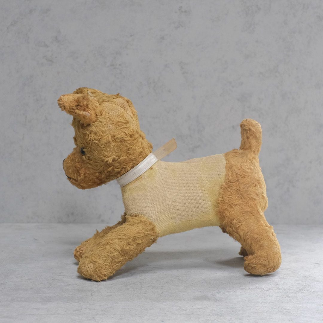 ヴィンテージぬいぐるみ フランス 首輪をつけた犬のスタッフドトイ3