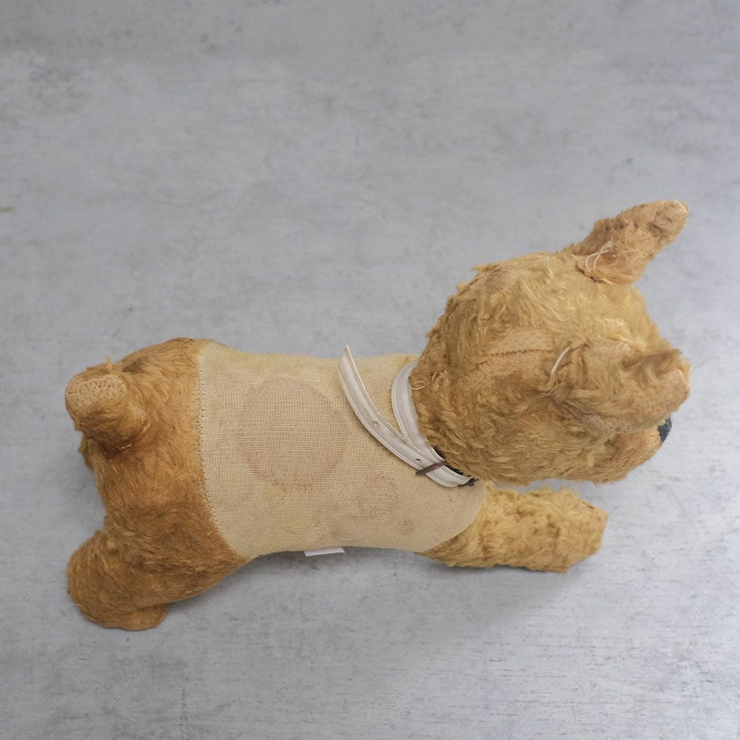 ヴィンテージぬいぐるみ フランス 首輪をつけた犬のスタッフドトイ5