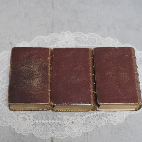 アンティーク祈祷書 フランス パロワシアン(Paroissien)1800年代 ミゼル2
