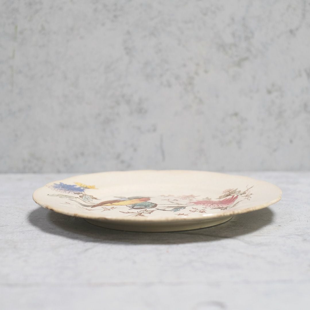 アンティーク皿 ショワジールロワ フランス 鳥 19世紀/アンティーク食器3