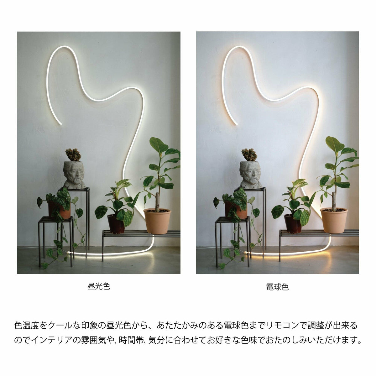 LED テープライト 間接照明 3m3