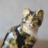 ヴィンテージ ウィンスタンレーキャット/ケンジントンキャット 三毛猫 イギリス 陶芸作家Jenny Winstanley猫のオブジェ55