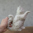 ヴィンテージティーポット 白猫 イギリス オブジェ 陶器 BESWICK ベスウィック88