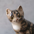 ヴィンテージ ウィンスタンレーキャット/ケンジントンキャット・サビ猫 三毛猫 イギリス 陶芸作家Jenny Winstanley 置物33