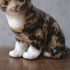 ヴィンテージ ウィンスタンレーキャット/ケンジントンキャット・サビ猫 三毛猫 イギリス 陶芸作家Jenny Winstanley 置物44
