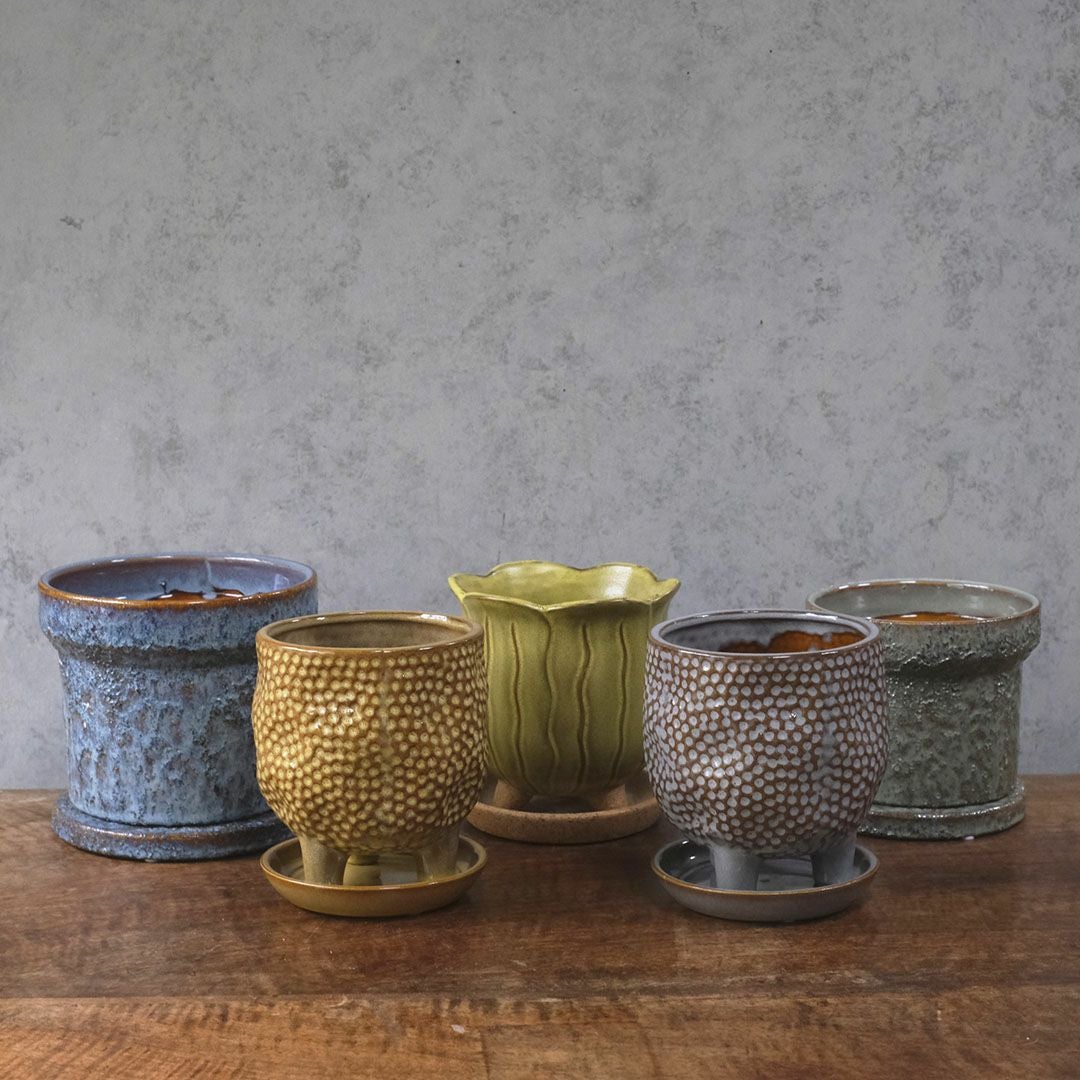 童話の鉢植えシリーズ 陶器のプランター&受け皿セット11