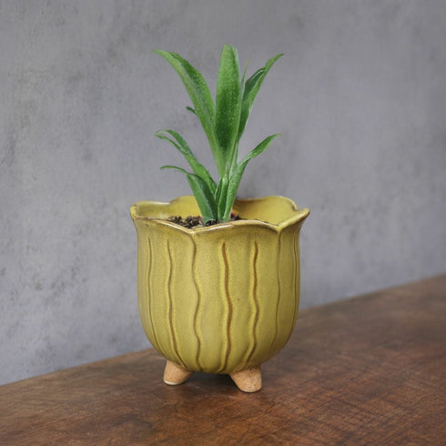 童話の鉢植えシリーズ 陶器のプランター&受け皿セット チューリップ 黄色33