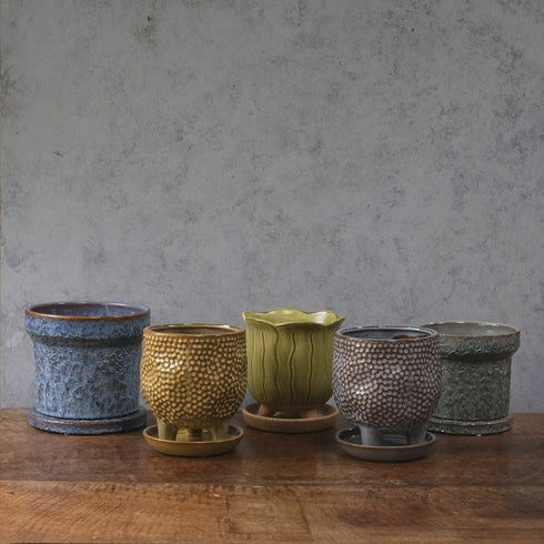 童話の鉢植えシリーズ 陶器のプランター&受け皿セット チューリップ 黄色77