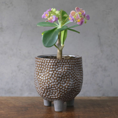 童話の鉢植えシリーズ 陶器のプランター&受け皿セット 3本足 グレー11