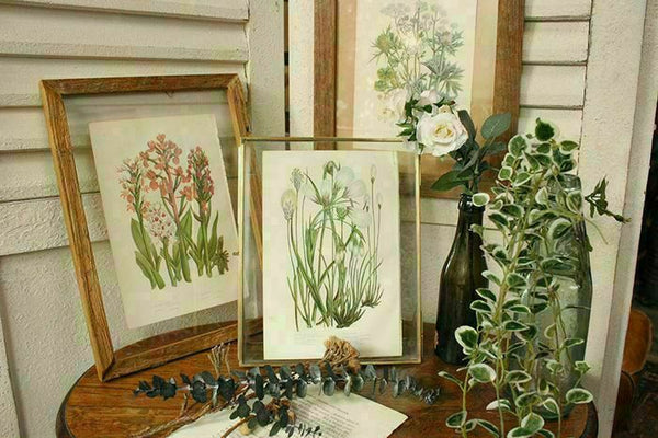 アンティークボタニカルリトグラフ 秋とシダ植物 100年以上前に描かれた色彩が美しい植物画