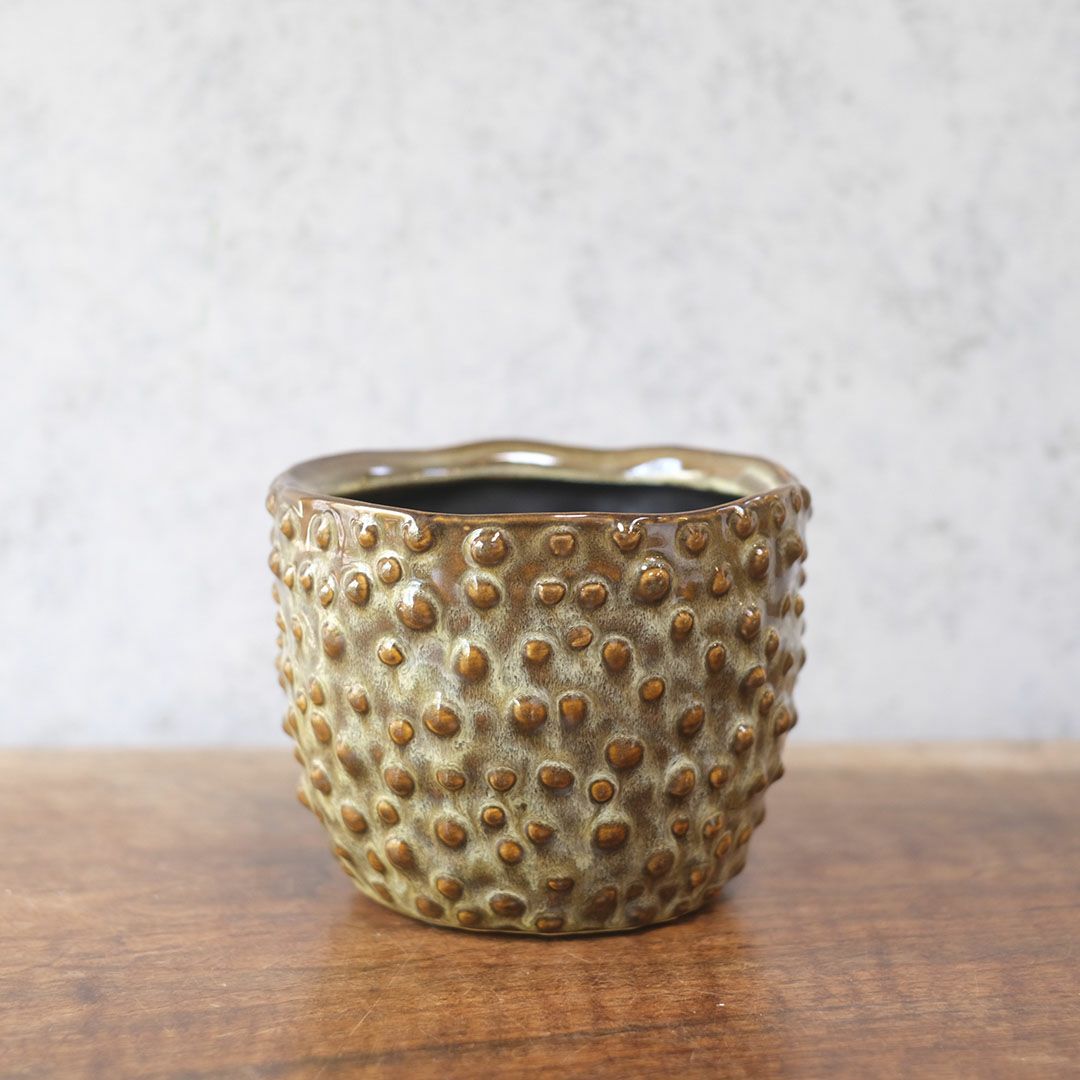 童話の鉢植えシリーズ 陶器のプランター ドットグレイズポット