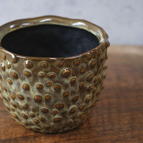 童話の鉢植えシリーズ 陶器のプランター ドットグレイズポット22