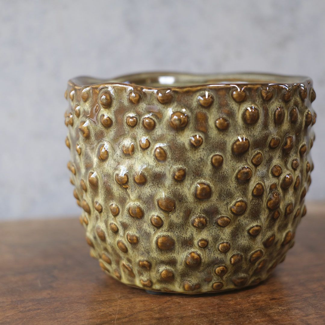 童話の鉢植えシリーズ 陶器のプランター ドットグレイズポット33