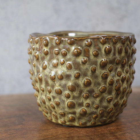 童話の鉢植えシリーズ 陶器のプランター ドットグレイズポット33
