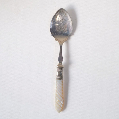 アンティーク マザーオブパール 装飾の美しいベリー 白蝶貝22