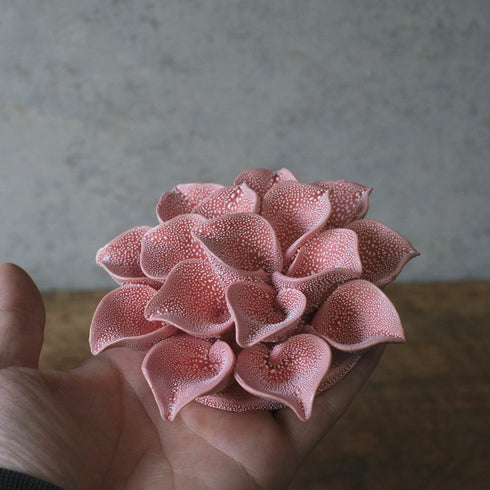 手のひらに乗せたABYSSALピンクの花のサイズ感と質感イメージ6