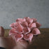 手のひらに乗せたABYSSALピンクの花のサイズ感と質感イメージ6