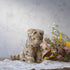 ヴィンテージ シュタイフ社 ぬいぐるみ トラ お座りポーズ(Sitting Tiger) ドイツ