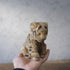 ヴィンテージ シュタイフ社 ぬいぐるみ トラ お座りポーズ(Sitting Tiger) ドイツ66