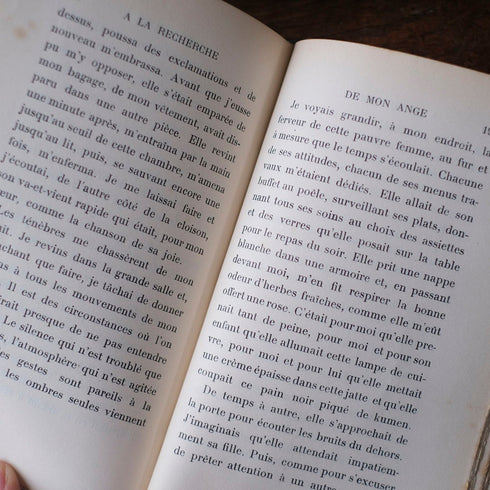 アンティークレザーブック 古書 フランス 革背表紙の本76