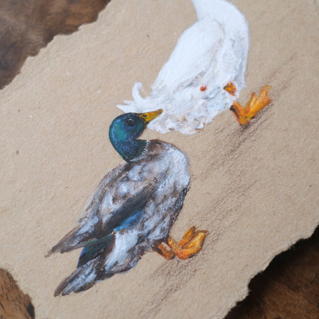 イギリス手描き鳥の絵 マガモのクローズアップ 青緑の頭と羽の筆致のわかる写真4