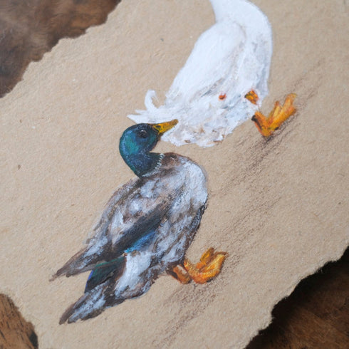 イギリス手描き鳥の絵 マガモのクローズアップ 青緑の頭と羽の筆致のわかる写真4