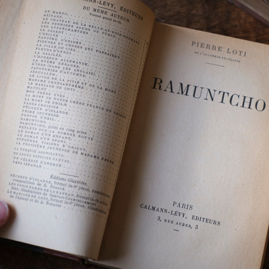アンティークレザーブック 革張りの本 フランス 古書77