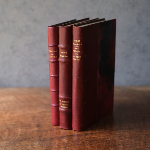アンティークブック 革張りの古書 レザーブック パリ フランス 1890年