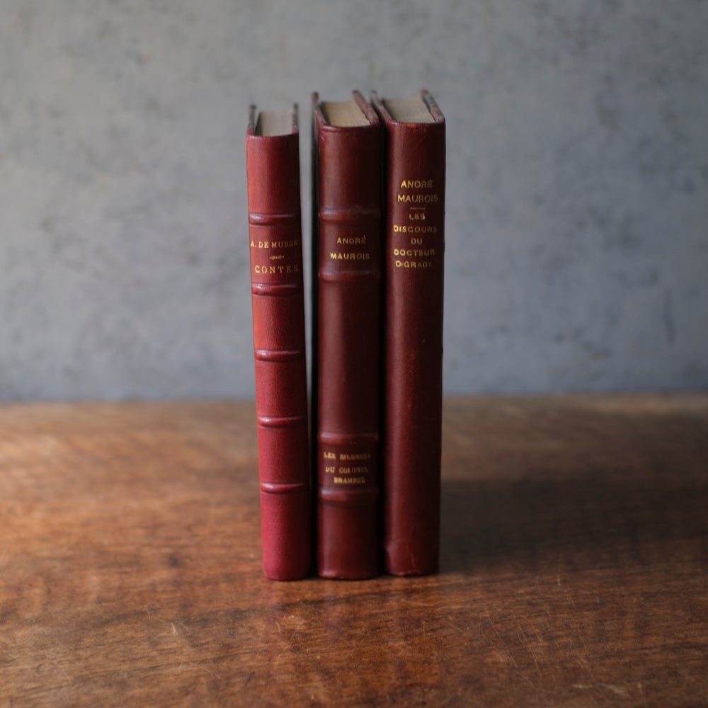 アンティークブック 革張りの古書 レザーブック パリ フランス 1890年
