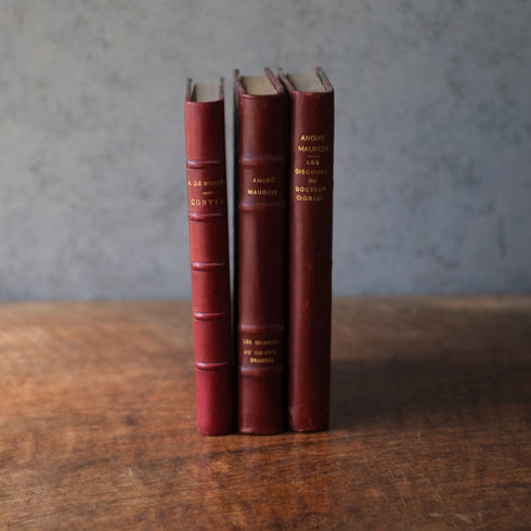アンティークブック 革張りの古書 レザーブック パリ フランス 1890年11