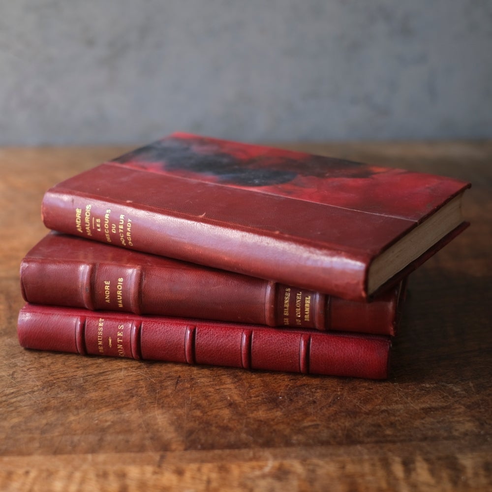 【フランス古書】 アンティークブック 革張りの古書 レザーブック パリ フランス 1890年