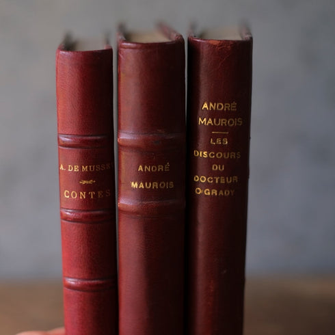 アンティークブック 革張りの古書 レザーブック パリ フランス 1890年55